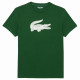 Camiseta Lacoste Sport Verde Blanco