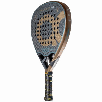 Pala Aca Agustin Torre Palladium Gold LTD