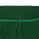 Short Lacoste Novak Djokovic Tenis Verde
